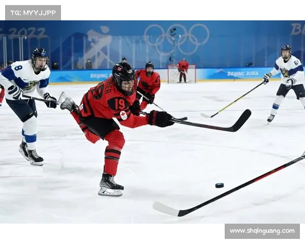 2019冰球赛事_2019冰球赛事巅峰对决激情赛场全纪实荣耀时刻