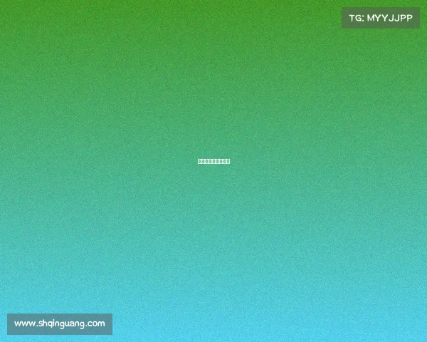 国际散打叫什么名子