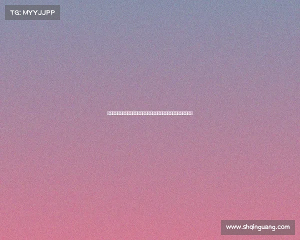 排球赛事安排专题：二零二四至二零二五赛季全国锦标赛赛程规划与实施指南